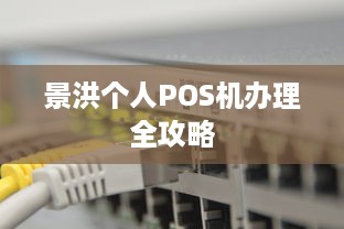 景洪个人POS机办理全攻略