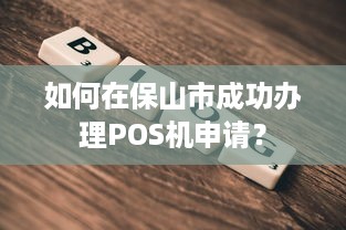 如何在保山市成功办理POS机申请？