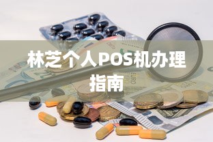 林芝个人POS机办理指南