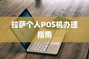 拉萨个人POS机办理指南