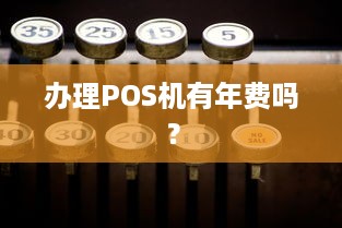 办理POS机有年费吗？