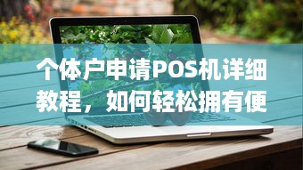 个体户申请POS机详细教程，如何轻松拥有便捷的支付工具