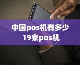 中国pos机有多少 19家pos机