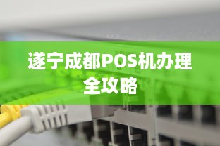 遂宁成都POS机办理全攻略