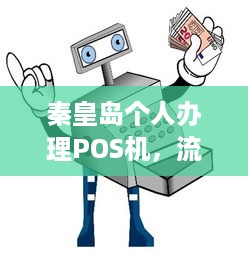 秦皇岛个人办理POS机，流程、费用及注意事项