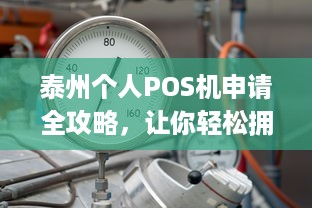 泰州个人POS机申请全攻略，让你轻松拥有便捷支付工具