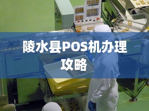 陵水县POS机办理攻略