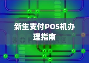 新生支付POS机办理指南