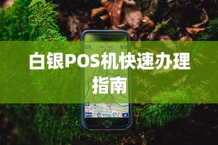 白银POS机快速办理指南