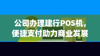 公司办理建行POS机，便捷支付助力商业发展