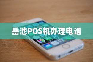 岳池POS机办理电话