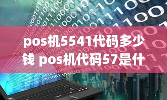 pos机5541代码多少钱 pos机代码57是什么意思