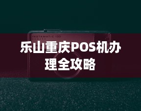 乐山重庆POS机办理全攻略