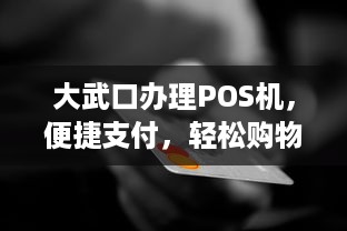 大武口办理POS机，便捷支付，轻松购物