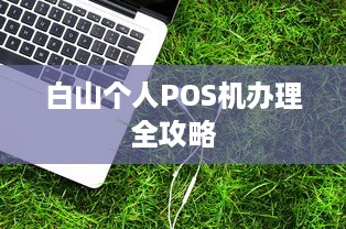 白山个人POS机办理全攻略