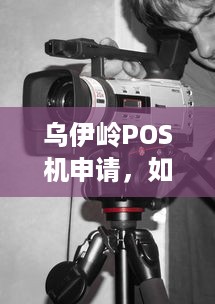 乌伊岭POS机申请，如何选择合适的POS机助力商家经营