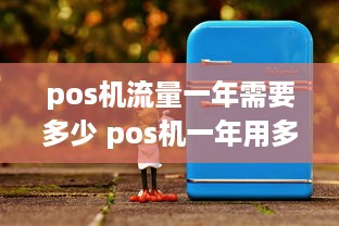 pos机流量一年需要多少 pos机一年用多少流量