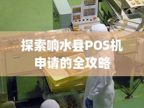 探索响水县POS机申请的全攻略