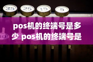 pos机的终端号是多少 pos机的终端号是多少号