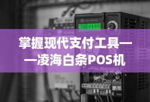 掌握现代支付工具——凌海白条POS机申请全攻略