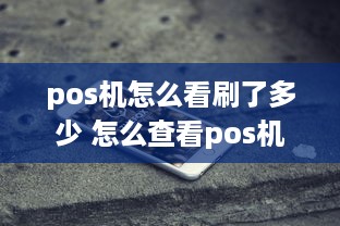 pos机怎么看刷了多少 怎么查看pos机刷的是秒到还是次日到