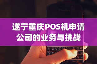 遂宁重庆POS机申请公司的业务与挑战