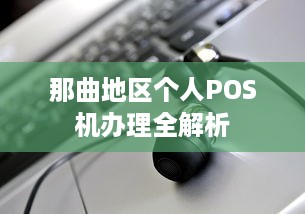 那曲地区个人POS机办理全解析