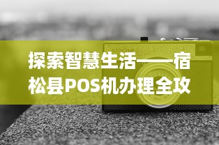 探索智慧生活——宿松县POS机办理全攻略