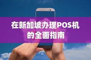 在新加坡办理POS机的全面指南