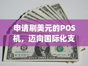 申请刷美元的POS机，迈向国际化支付之路