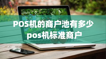 POS机的商户池有多少 pos机标准商户